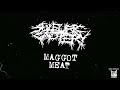 Sulfuric cautery  maggot meat single 2024  goregrind