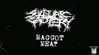 Sulfuric Cautery - Maggot Meat [SINGLE] (2024 - Goregrind)