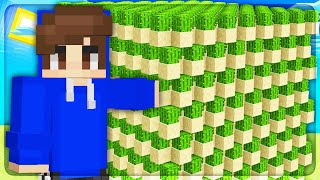 A Cactus Farm is ALL You Need to be Rich in Minecraft Skyblock | AkumaMC