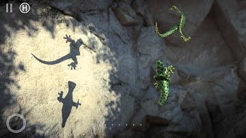 Shadowmatic Level 1.4