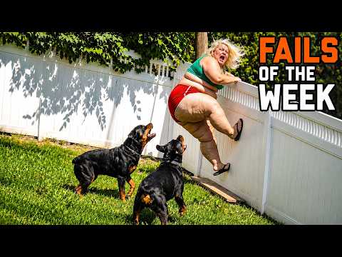 Funny Videos Try Not to Laugh: Funny Fails Compilation: People Failing Hilariously | FailArmy P27