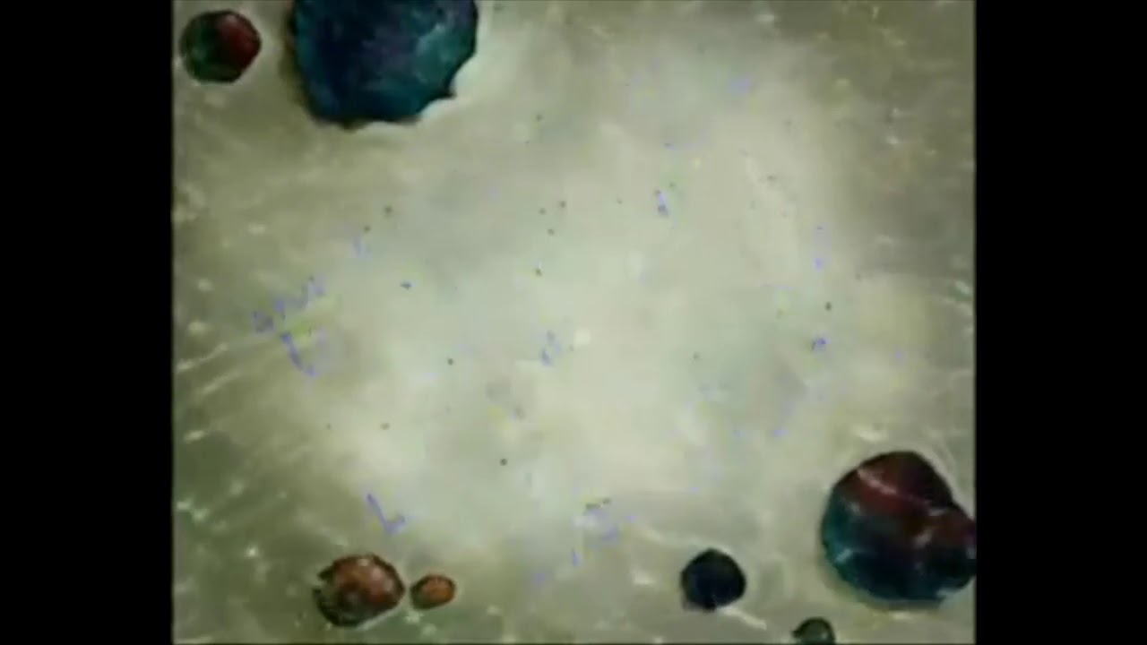 (Outdated) Spongebob Wishing You Well title card YouTube