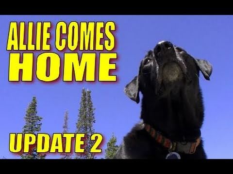 "Allie Comes Home" by Nutnfancy (Surgery Update 2)