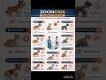 Zoonotic Diseases from pets to humans #animals #vet #veterinary #veterinarymedicine