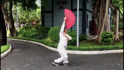 THÁI CỰC QUẠT 18 THỨC (MẶT SAU)