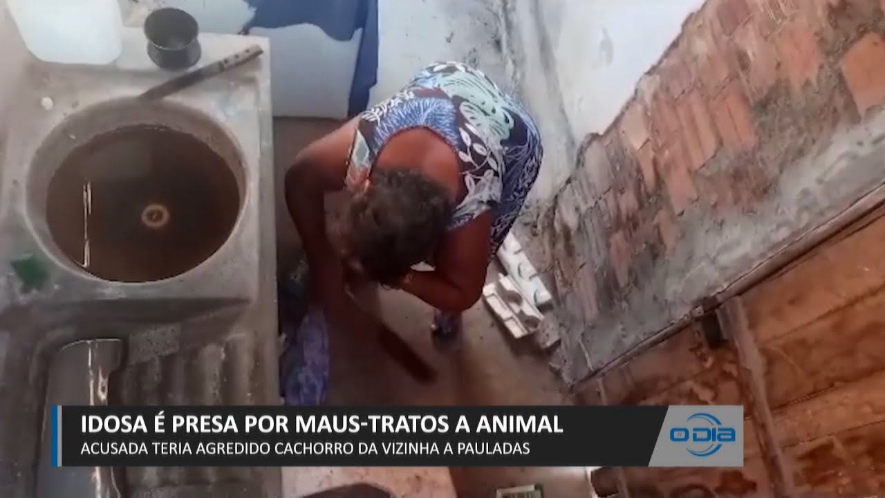 Idosa é presa por maus-tratos a animal 09 08 2023