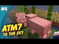 ALL The Mods 7 To the Sky - Pigs Part 4