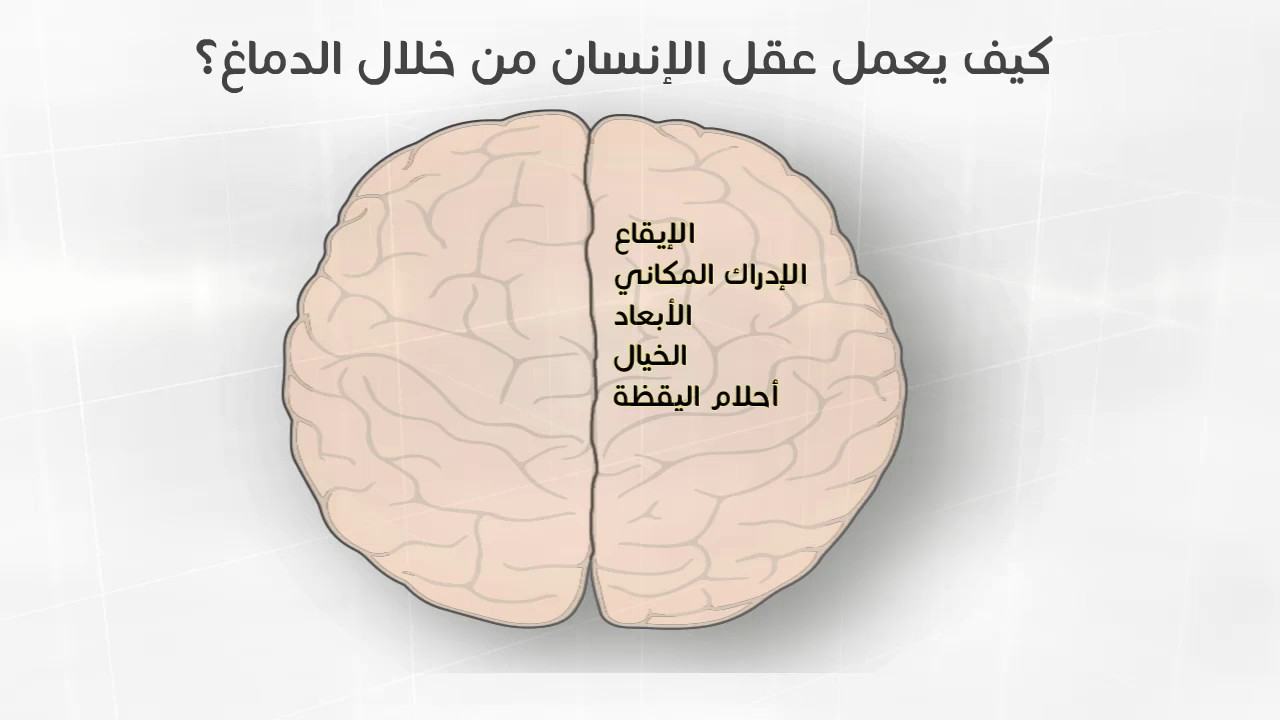 الخريطة الذهنية