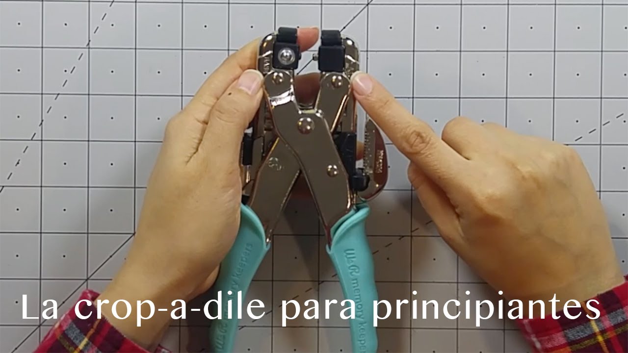 TUTORIAL // Que es y como usar la crop a dile YouTube