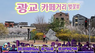 광교카페거리 영상