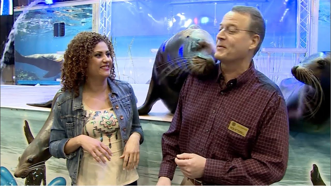 Latino Cleveland on WKYC Episode 25 hispanic latino ethnicity