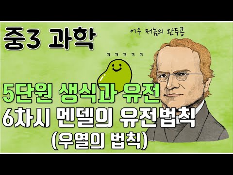 [중3과학] 5단원 6차시 멘델의 유전법칙(우열의 원리)