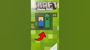 this is the first LEGO minecraft set ever made!