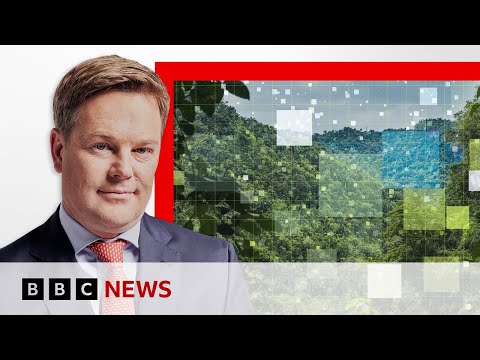 How big is AI's carbon footprint? | BBC News