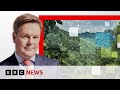 How big is ais carbon footprint  bbc news