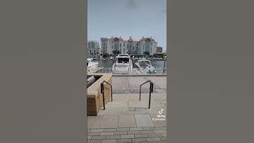Anchor and Brine ⚓ - A Riverwalk Secret in Tampa #shorts #tampaliving