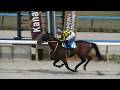 【現地撮影】2026年4月24日金沢競馬場4Rハジメテノチュウ圧勝&金田一昌調教師通算3000勝達成🏆
