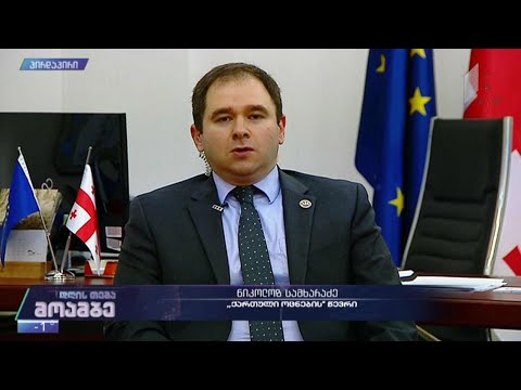 პარალელური დათვლის სადავო შედეგები - ნიკოლოზ სამხარაძე - „ქართული ოცნება“