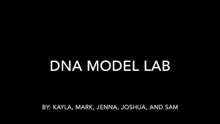 DNA Model Lab --Biology