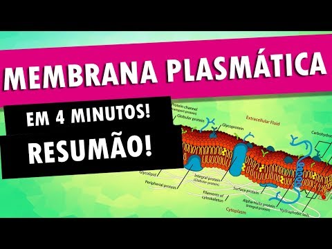 Vídeo: Qual é a definição curta de membrana plasmática?