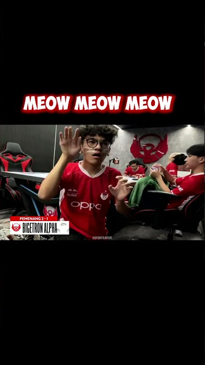 Meow Meow Taunting BTR RIPPO MPL ID Season 8 | Story Whatsapp
