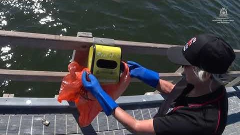 How to empty Reel It In bins