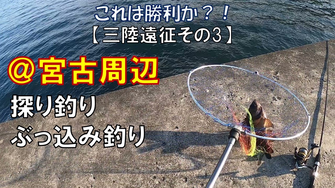 【三陸遠征その3】宮古周辺でぶっ込み＆探り…東北らしい海釣り