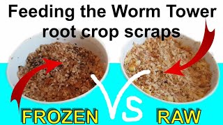 Feeding the Worm Tower Raw vs Frozen Root Crop Scraps