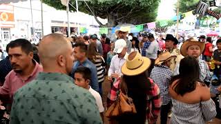 Desfile en Ayotlan