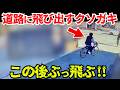 【ドラレコ】道路に飛び出すチャリが車に轢かれる瞬間/最新日本交通安全危険予知