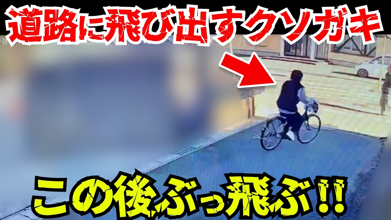 【ドラレコ】道路に飛び出すチャリが車に轢かれる瞬間/最新日本交通安全危険予知