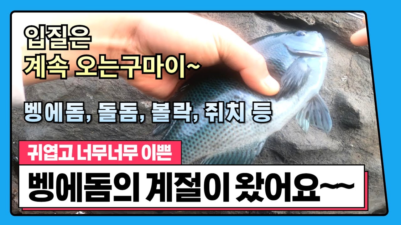 ep 174. 🐟🐠 UHD 다대포 나무섬 부속섬 48번 포인트 ｜Point 48 of Dadaepo Namuseom Island