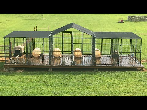 raised-dog-kennel-build-part-2-with-walk-around