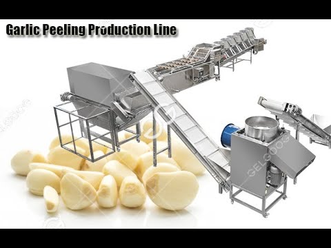 Industrial Garlic Peeling Machine Production Line Fully Automatic