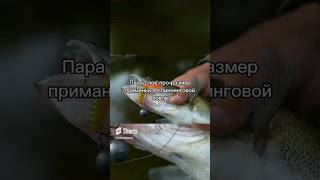 Размер приманки #рыбалка #спиннинг #щука #окунь #судак #форель #жерех #голавль #джиг #воблер #блесна