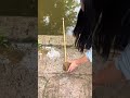 Multi functional fish trap — smart, simple & effective#multifunctionalfishtrap #handytools #shorts