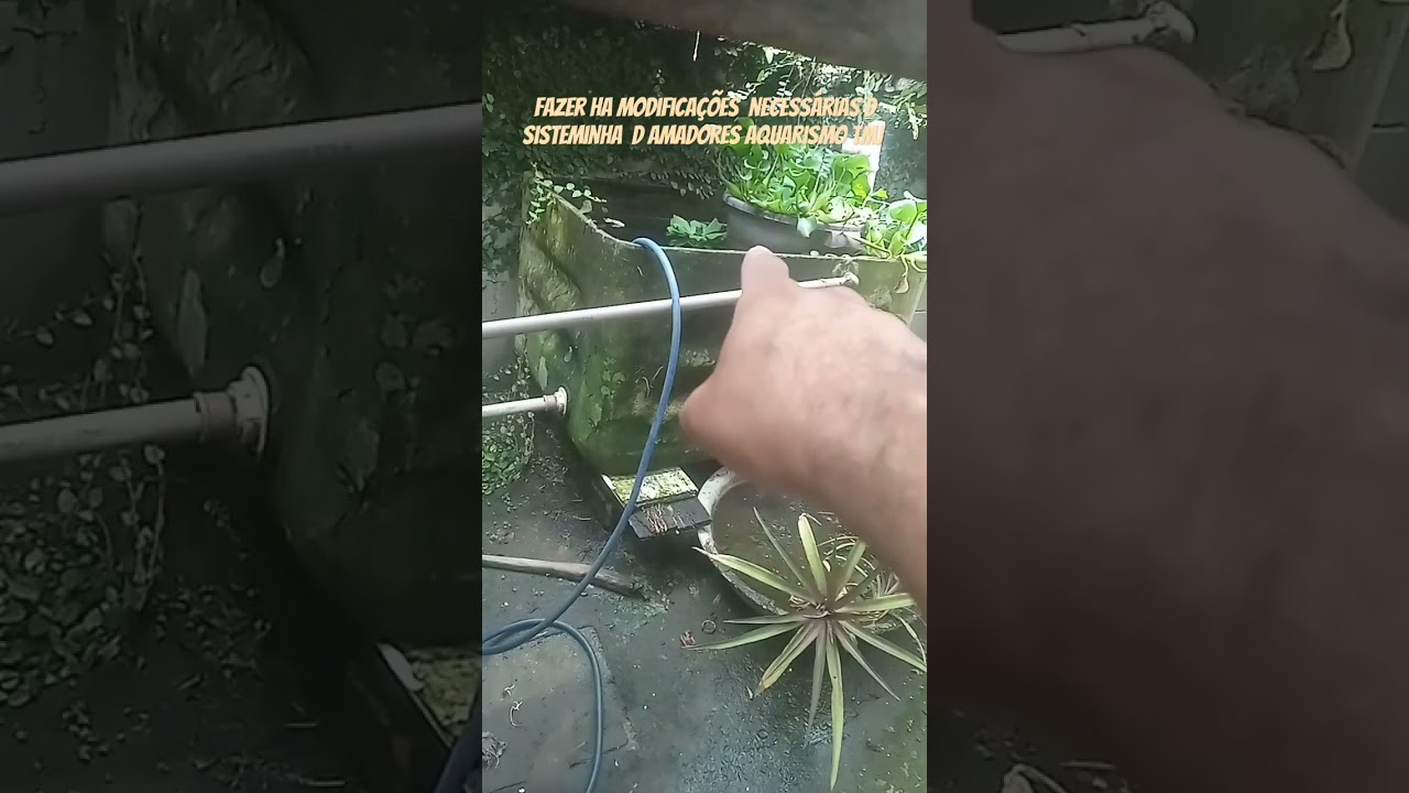 #motiva&ccedil;&atilde;o #criarpeixes #fishing #criacaodetilapia #aquaponia modificar sistema de cria&ccedil;&atilde;o de peixe