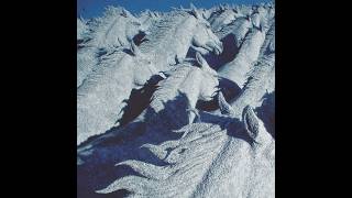 김심야 - GUIDI [Dogma Physical Track]
