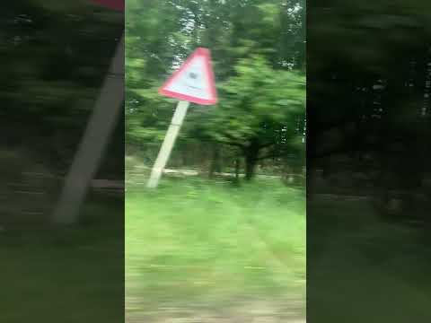 I hate going back to that nature just kidding  #viral by Charlie Granger