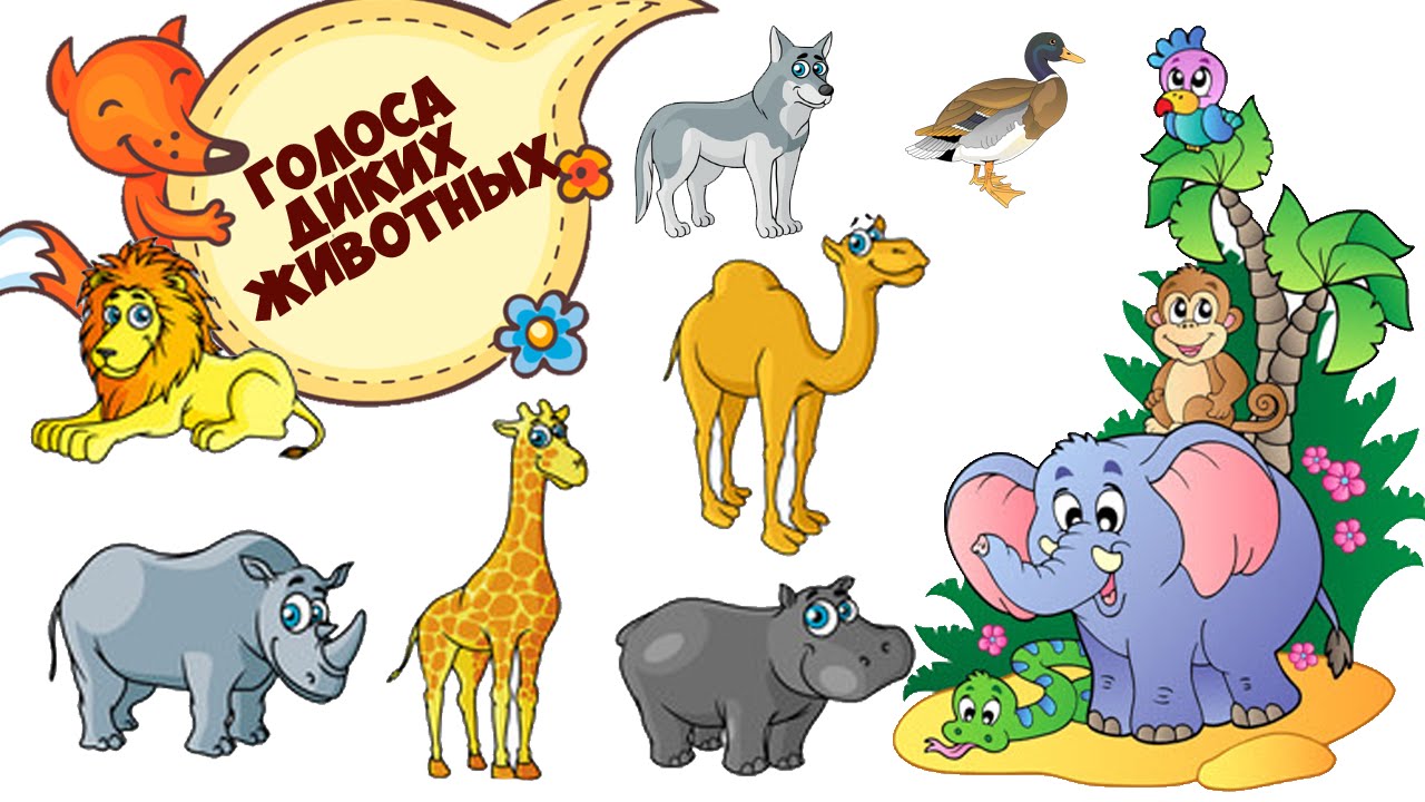 Для детей развивающие животные звуки животных. Для детей. Животные. Картинки животных для детей. Дикие животные картинки для детей. Картинки животных для дошкольников.