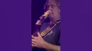 #jam #bobdylan #gratefuldead Matt Hartle 1/21/24 Grateful Dead #mhf #santacruzmusic #jerrygarcia