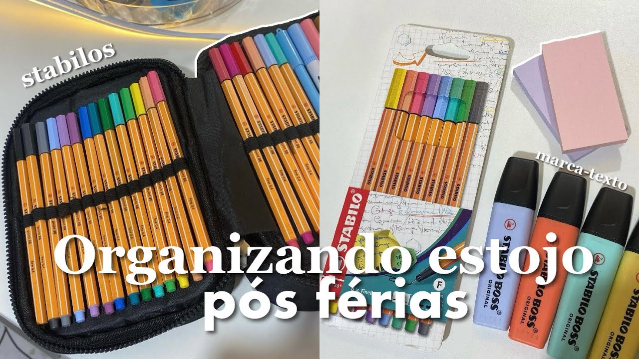 Organizando meu estojo escolar 