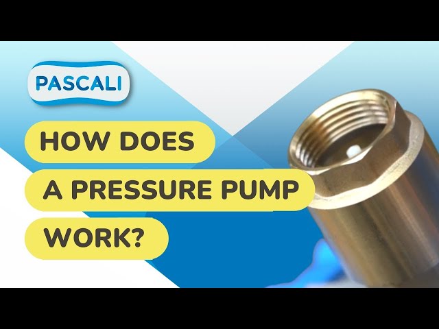 HOME - Pascali Water Pumps