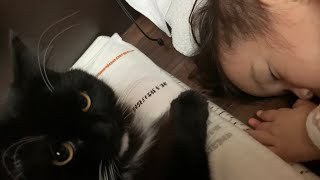 目覚めキスで心地よい朝を提供する猫 ラガマフィン The cat that gives the best awakening
