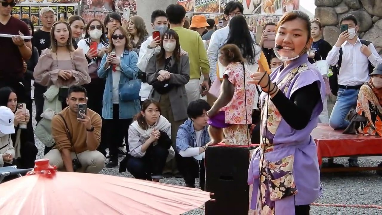 大阪城公園　豊國神社　猿回し編