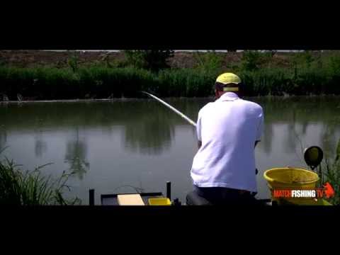Come pescare le Savette del Gambara
