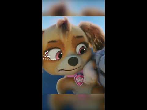 Paw Patrol, Patrulla de cachorros | ¡35MIN de lo mejor de Skye! | Nick Jr. En Español