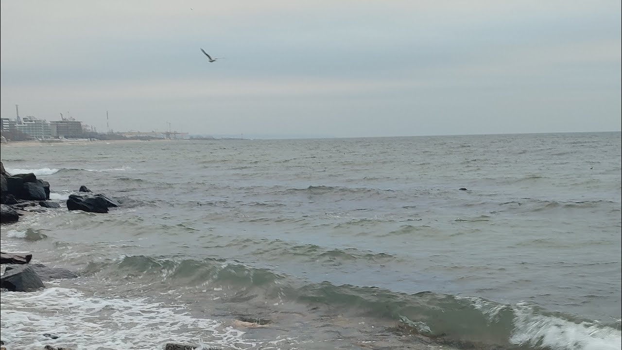 Я маю можливість прийняти!