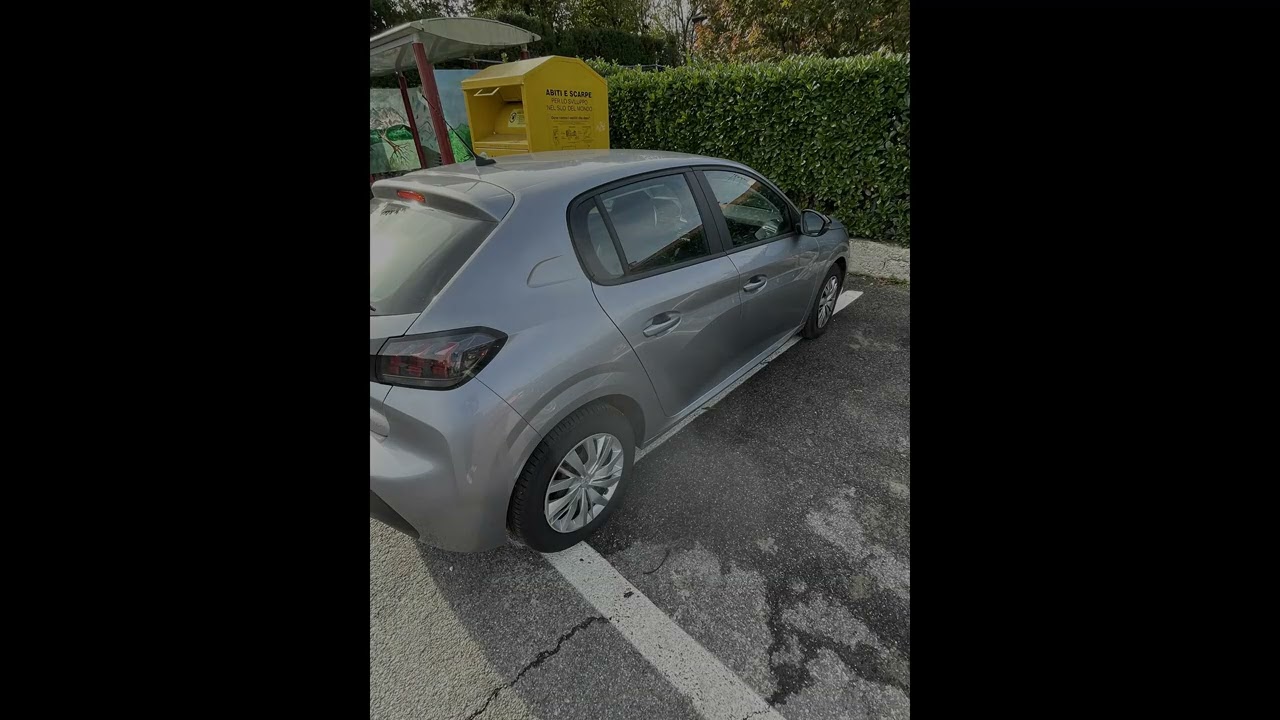 Lavaggio Peugeot 208 — Walter Auto YouTube video