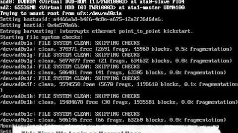FreeBSD 8.1 Server Configuration Part 1.2 -- Shell Environment and Software RAID